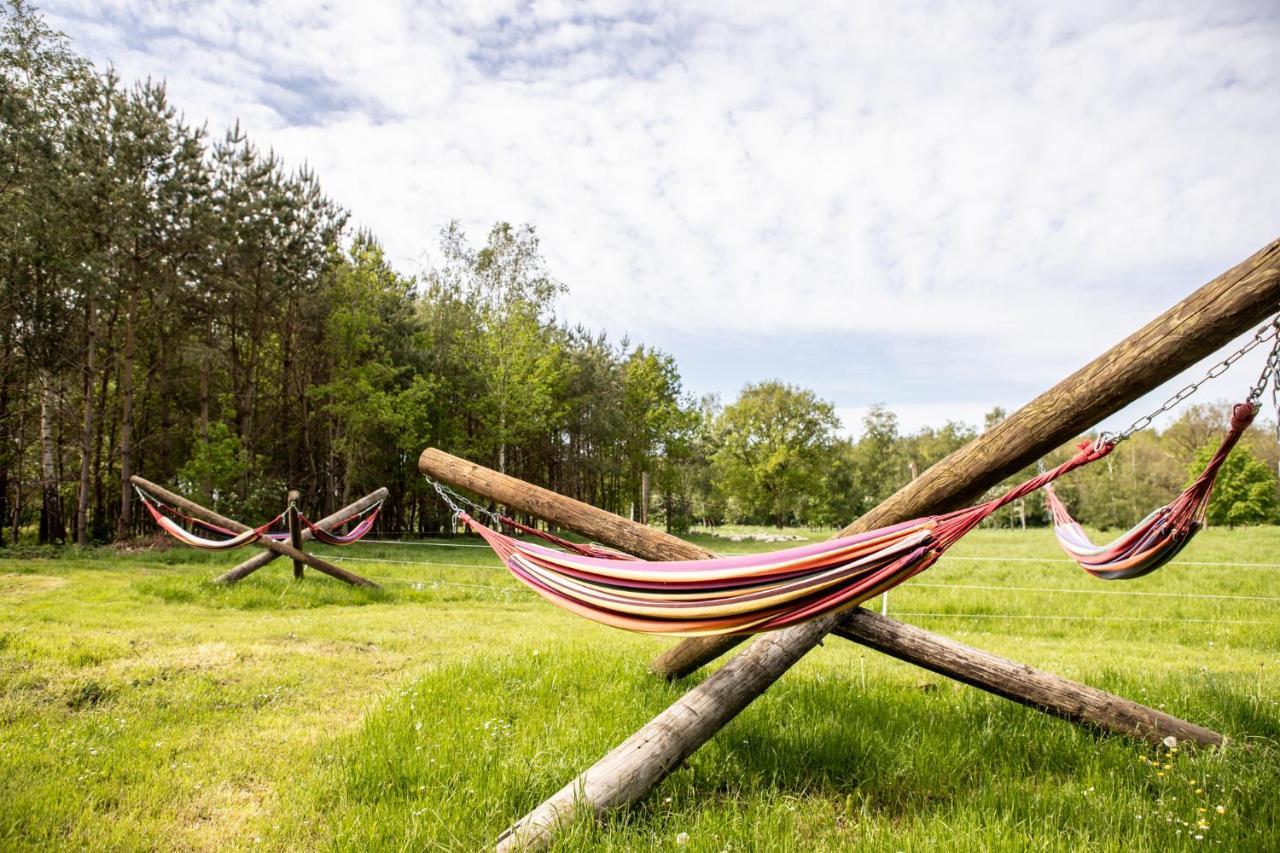 Natuur Lodge Blesdijke Εξωτερικό φωτογραφία