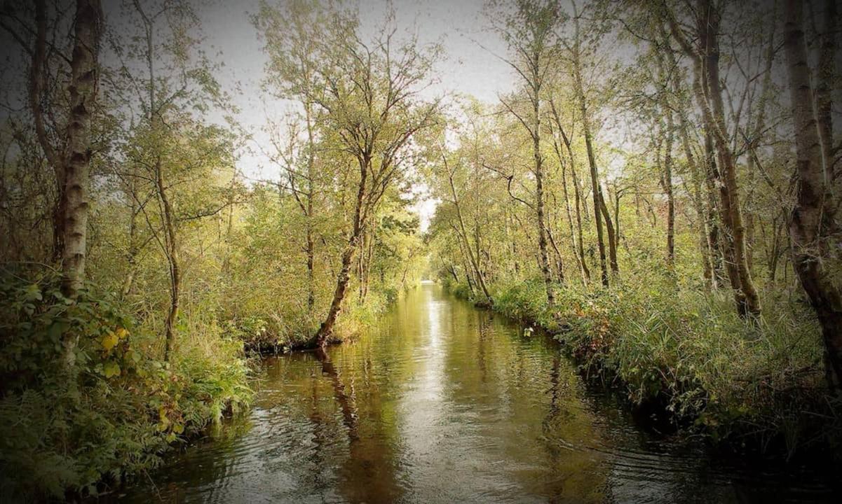 Natuur Lodge Blesdijke Εξωτερικό φωτογραφία